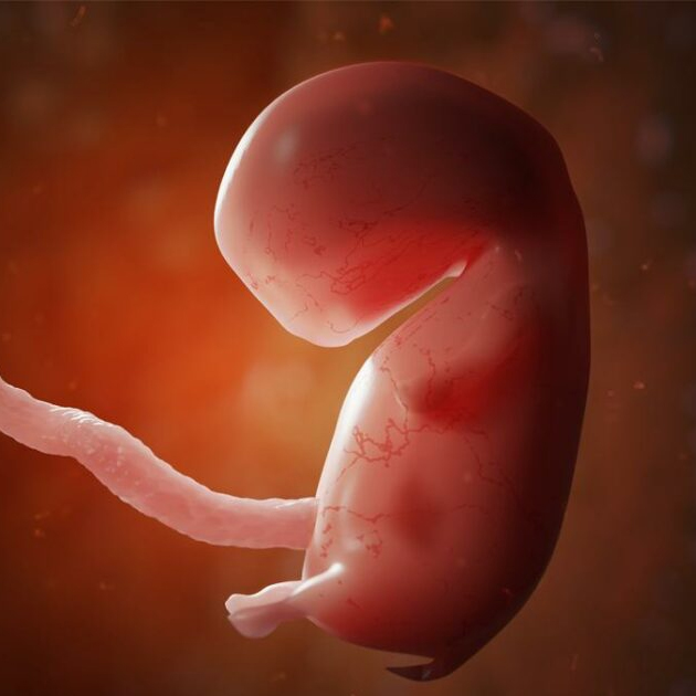 Поза эмбриона во сне фото