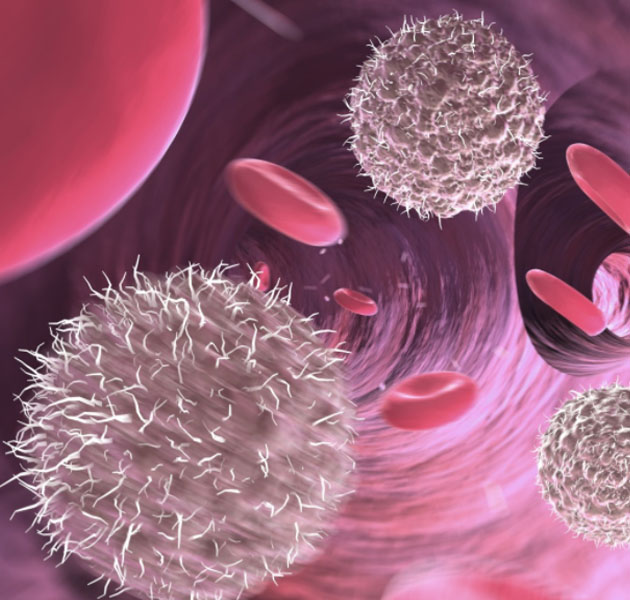 Лейкоскрин: анализ спермы (эякулята) на лейкоциты