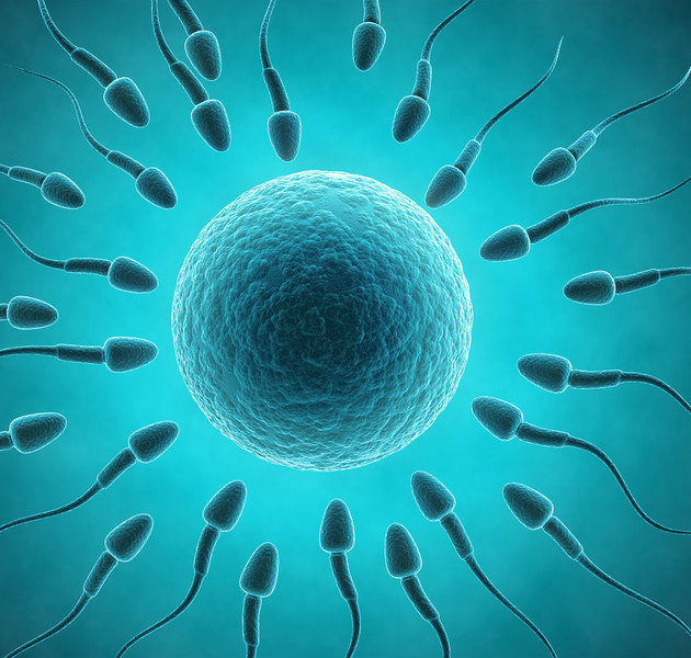 Как улучшить свойства нормальной спермы?